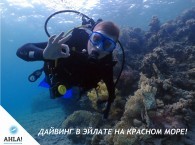 Дайвинг в Эйлате на Красном море