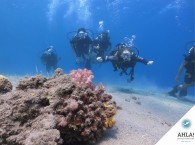 тренировка идеальной плавучести на дайвинг курсе_tranning perfect bouyancy in diving cousre