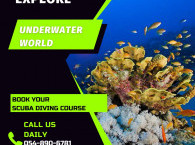 scuba diving in Eilat 054-890-6781