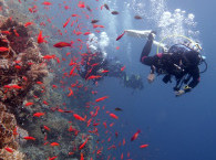 diving Blue Hole