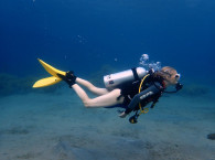 eilat diving prices.jpg