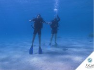 мир дайвинга_world of diving