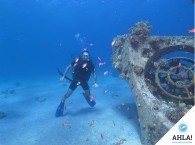 дайвинг_на_Красном_море_diving_on_Red_Sea