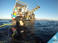 scuba diving in eilat - 4