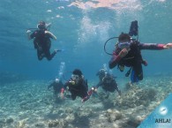 дайвинг курсы для начинающих в Эйлате_diving_courses_for_behinners_in_Eilat.jpg